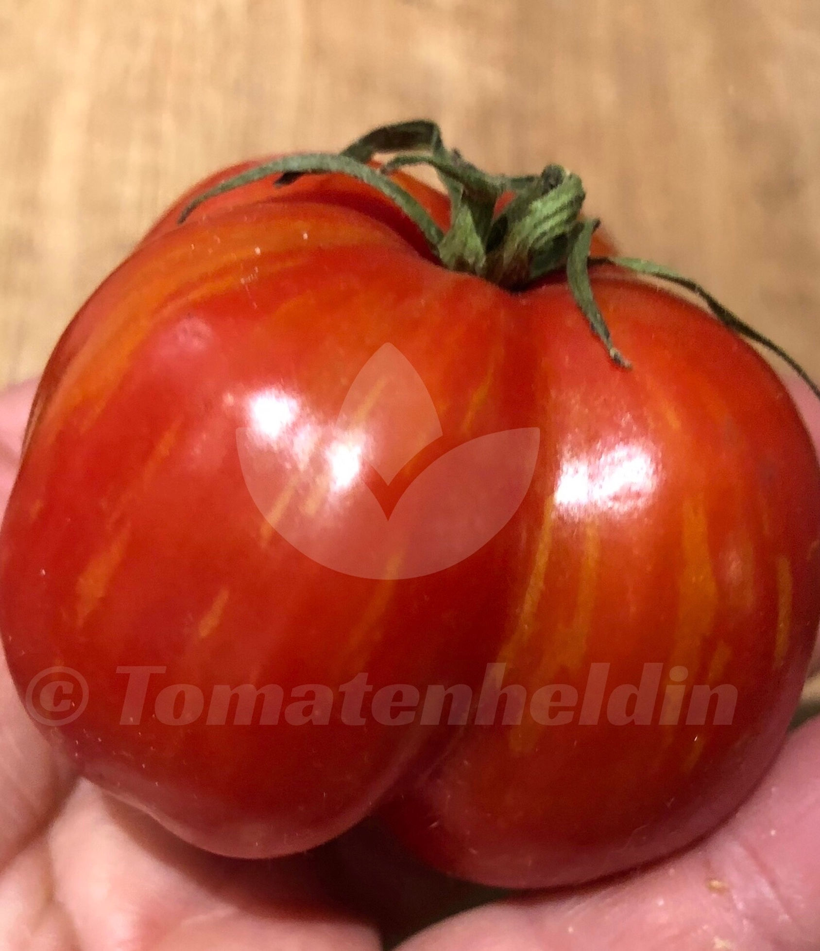 Tomate Striped Cavern, Striped Stuffer, Red Cavern  | Samen | Tomatenheldin