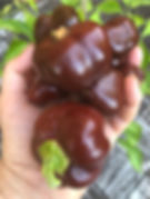 Miniaturbild: Chocolate Mini Bell 