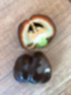 Miniaturbild: Paprika Chocolate Mini Bell | Samen | Tomatenheldin