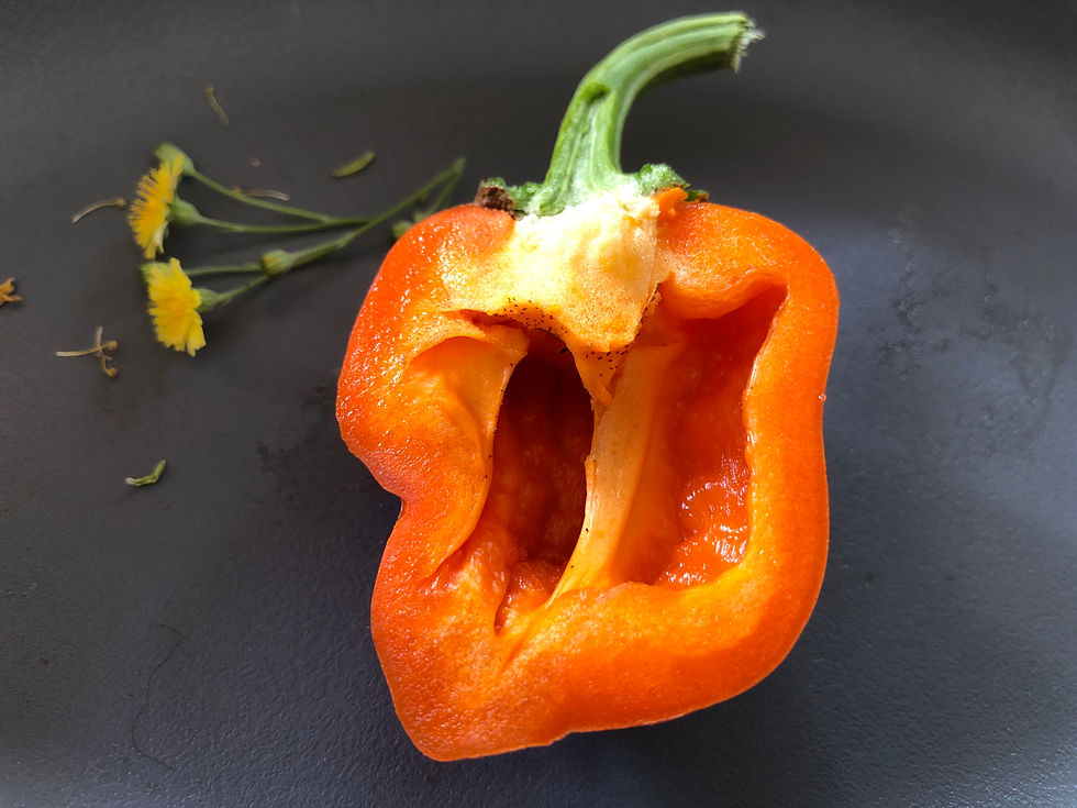 Miniaturbild: Lunchbox Orange 