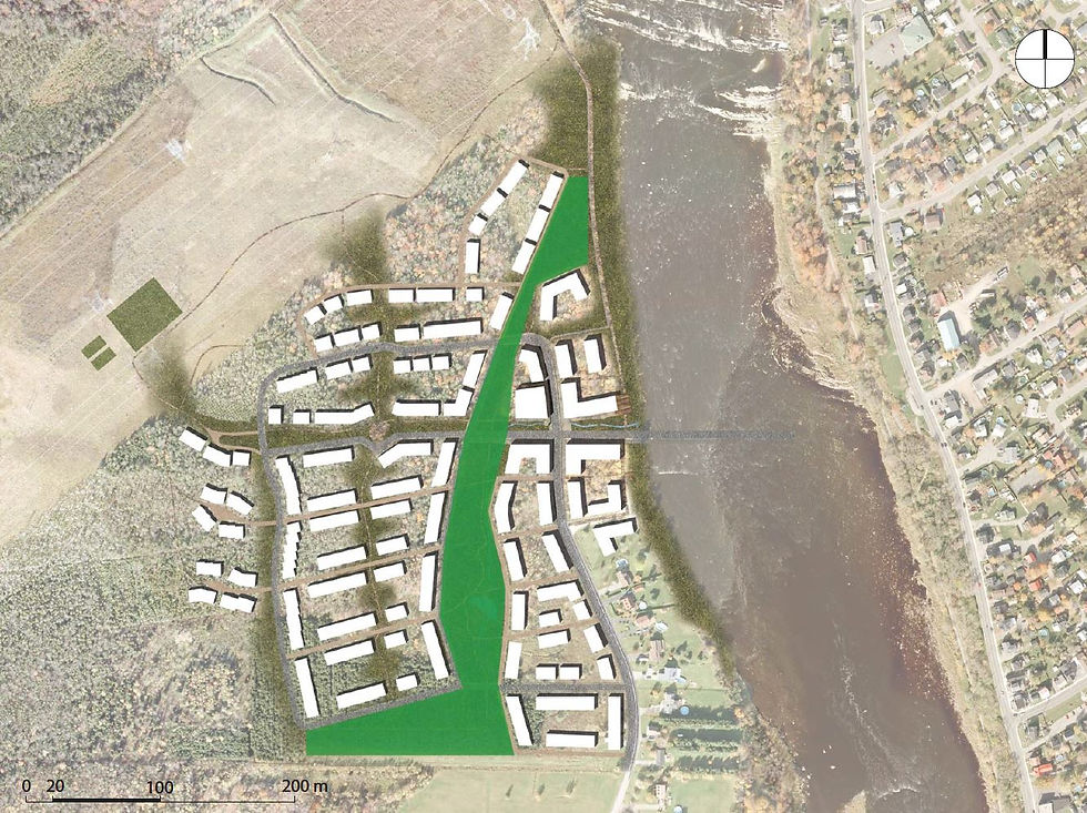 L'axe vert strucurant