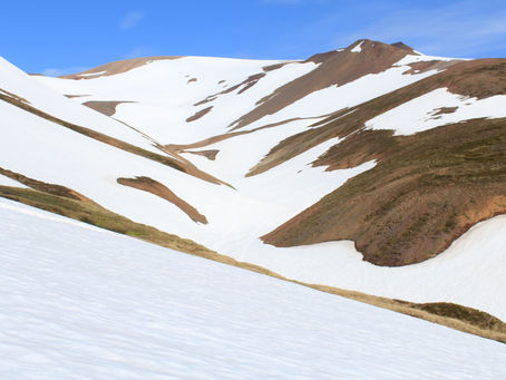 Að eiga 49 ára afmæli og gleðjast yfir því.