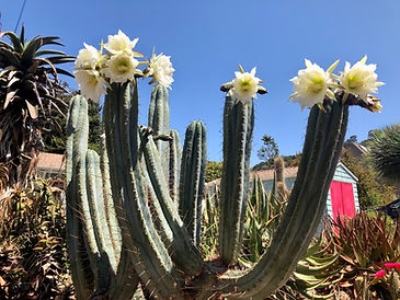IMG_0764.jpeg