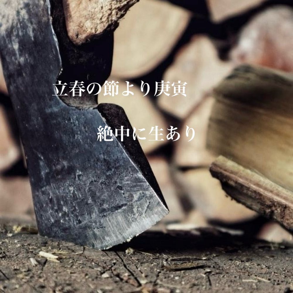 【2月の戦略的バイオリズム】理想を現実に落とし込む「静かなる再起」の1ヶ月