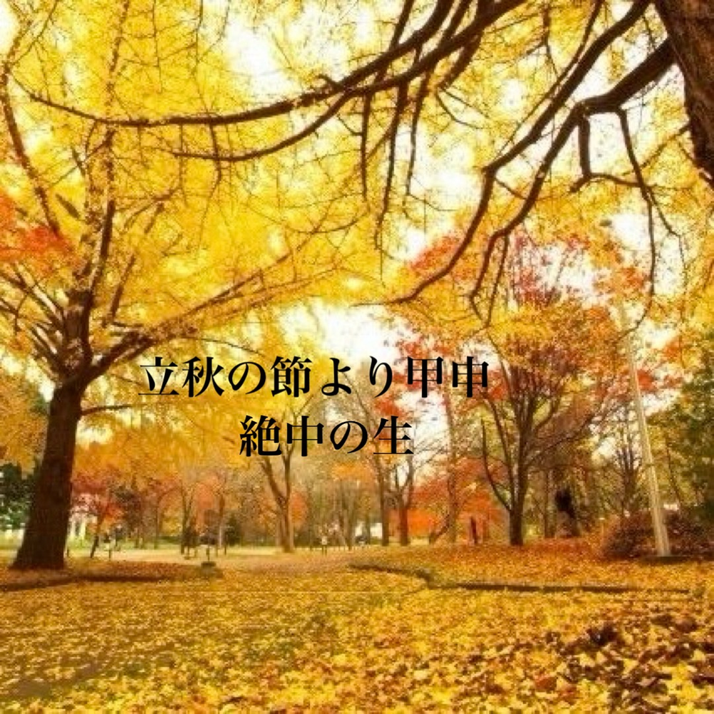 【天中殺】葉月（はづき）　8月7日（木）〜9月6日（土）　立秋の節より甲申絶中の生　キーワードは、豊かな活力　一芸に専念　器用貧乏