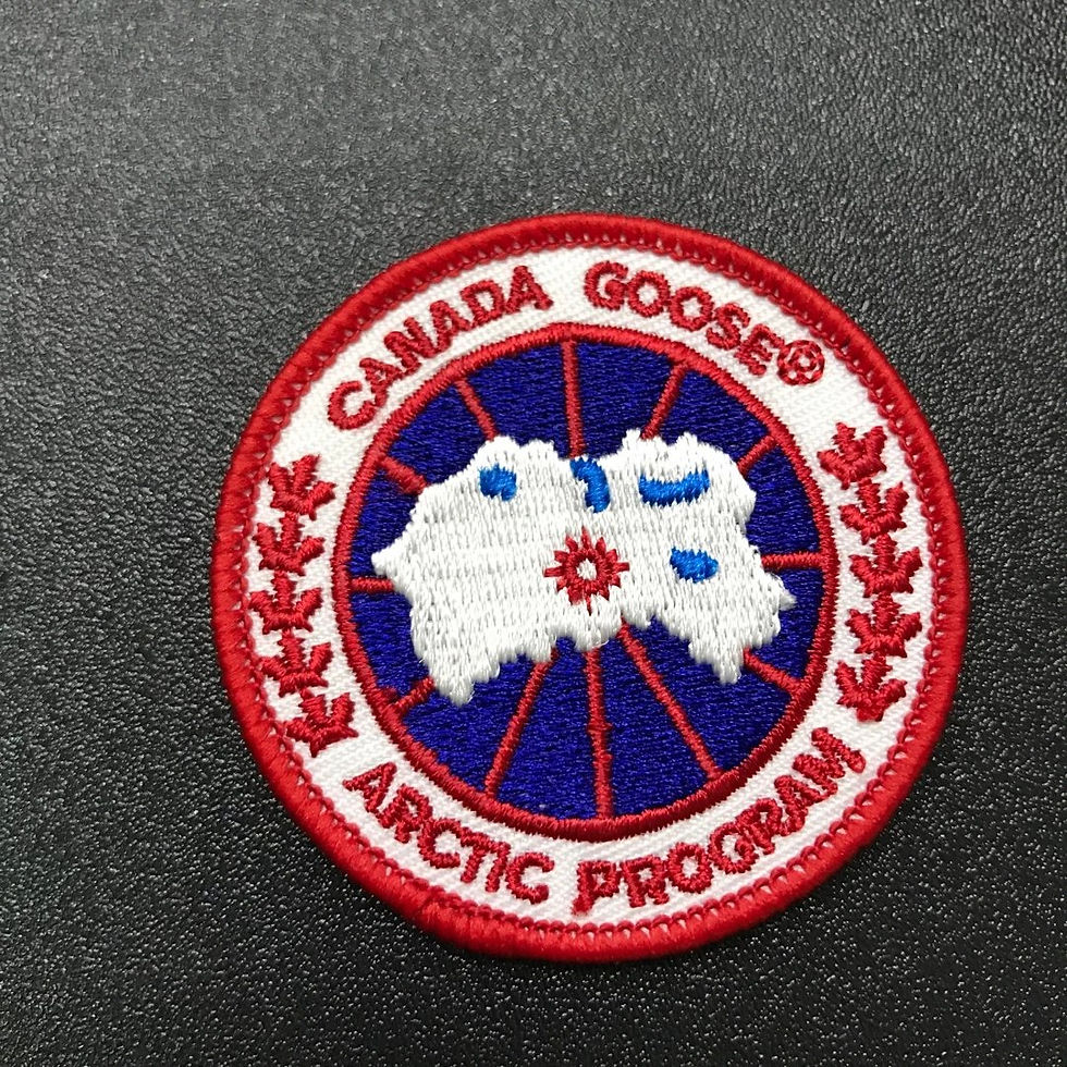 Миниатюра: Canada Goose