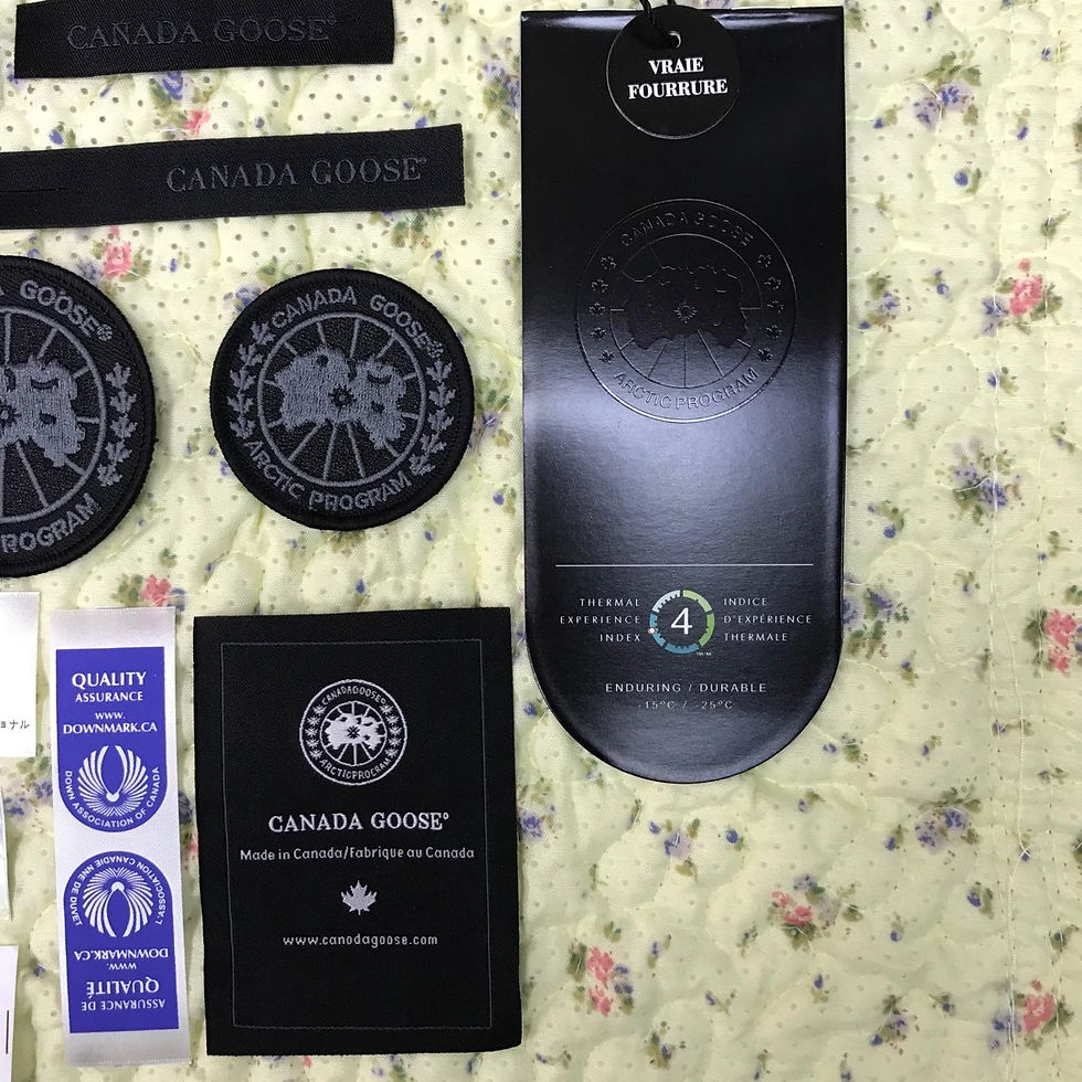 Миниатюра: Canada Goose