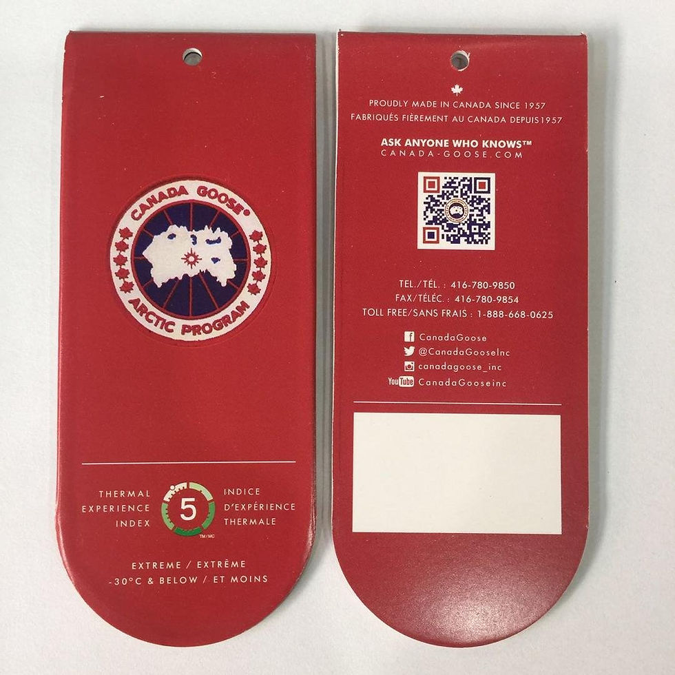 Миниатюра: Canada Goose