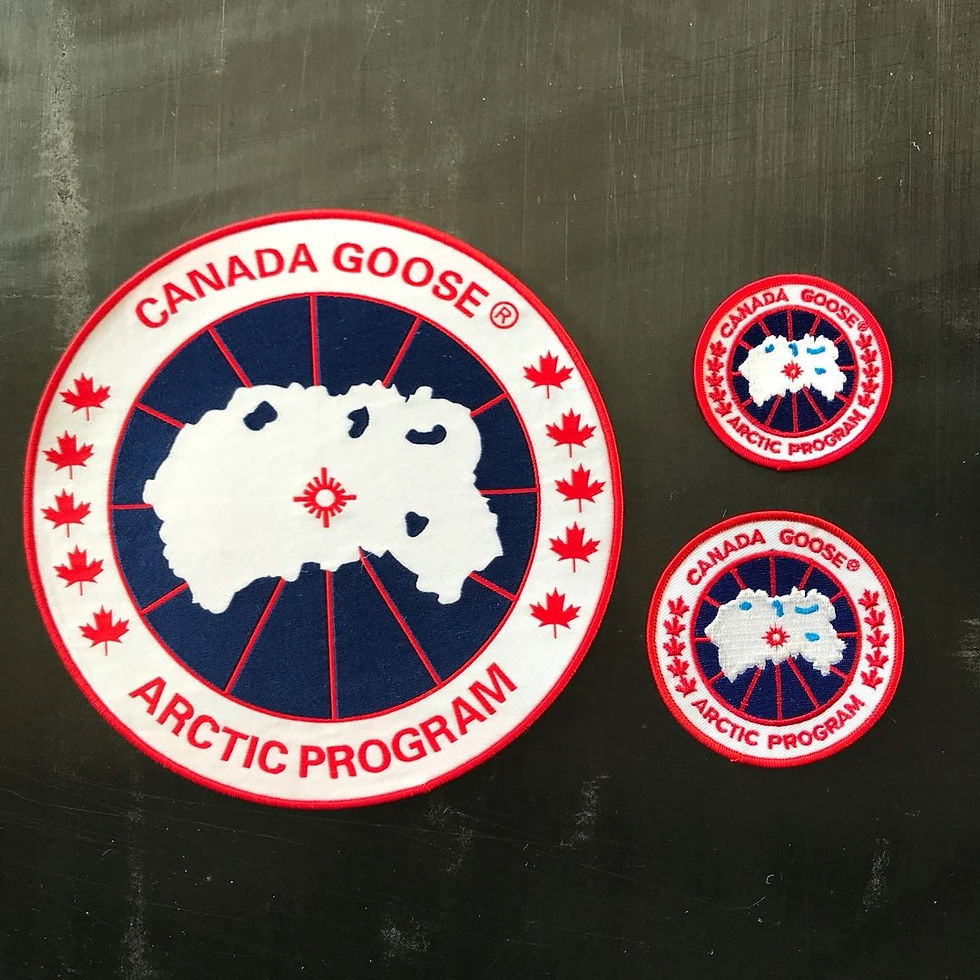 Миниатюра: Canada Goose