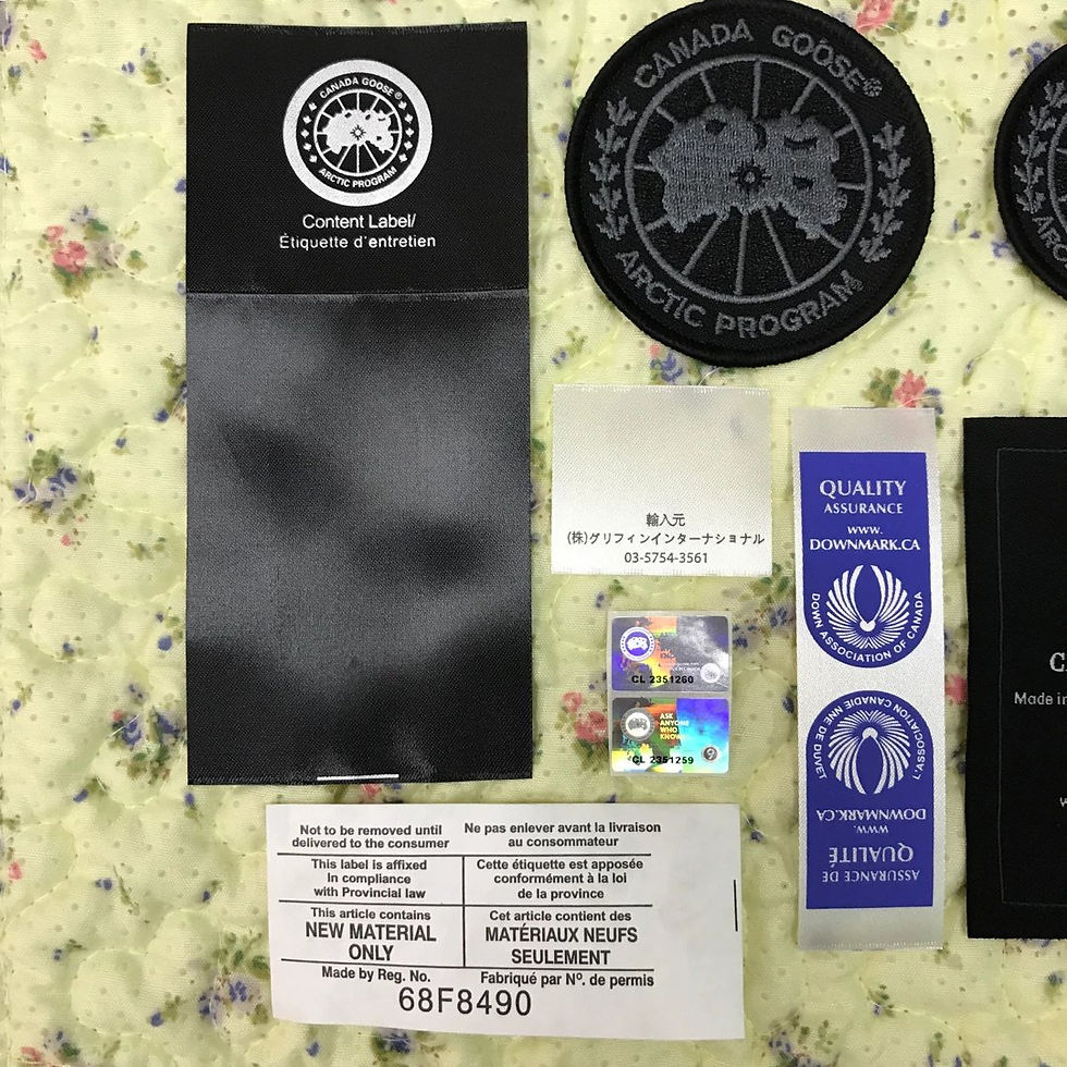 Миниатюра: Canada Goose