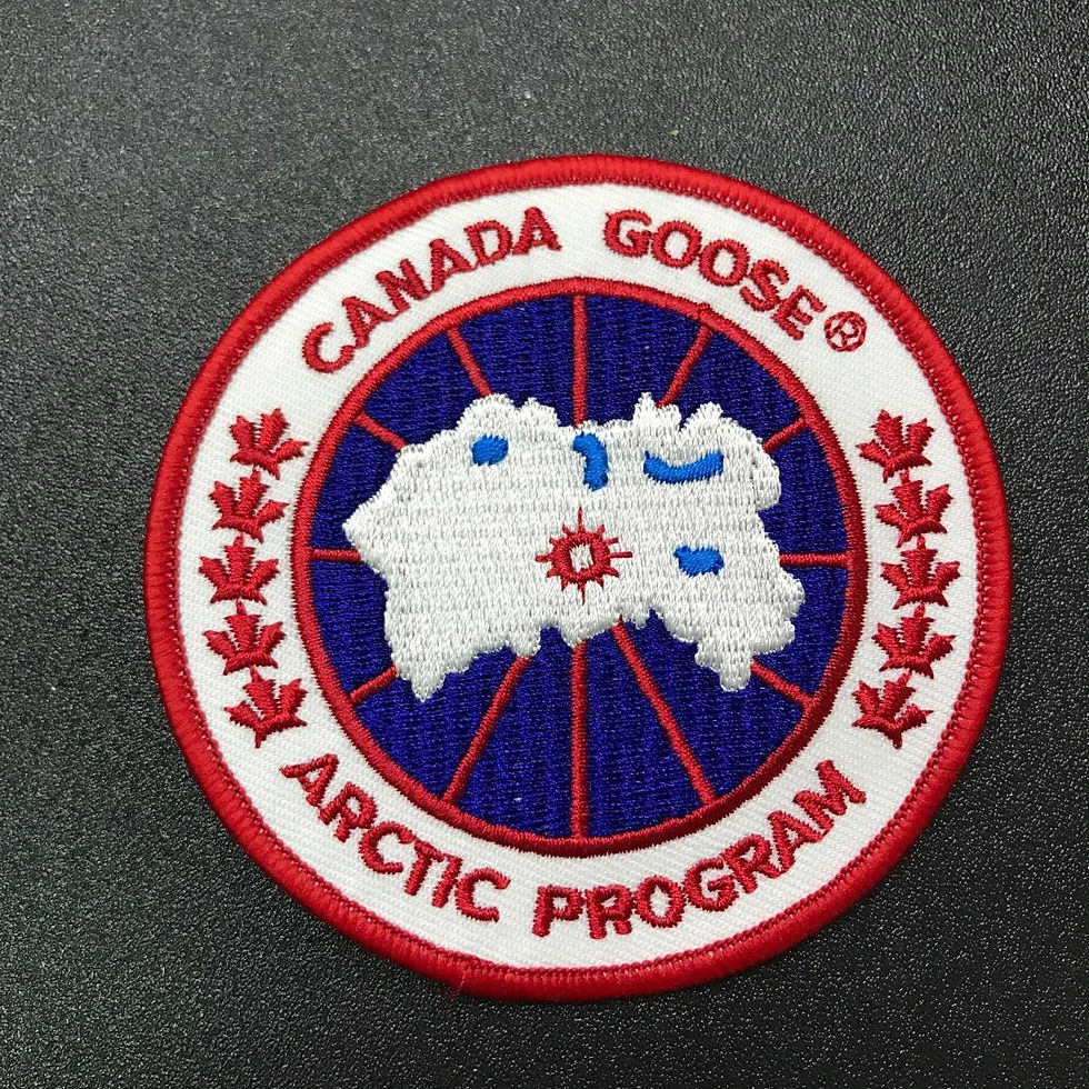 Миниатюра: Canada Goose
