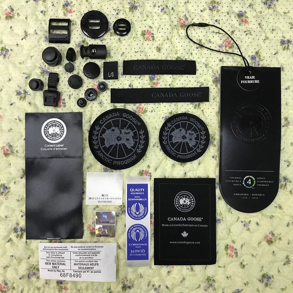 Миниатюра: Canada Goose