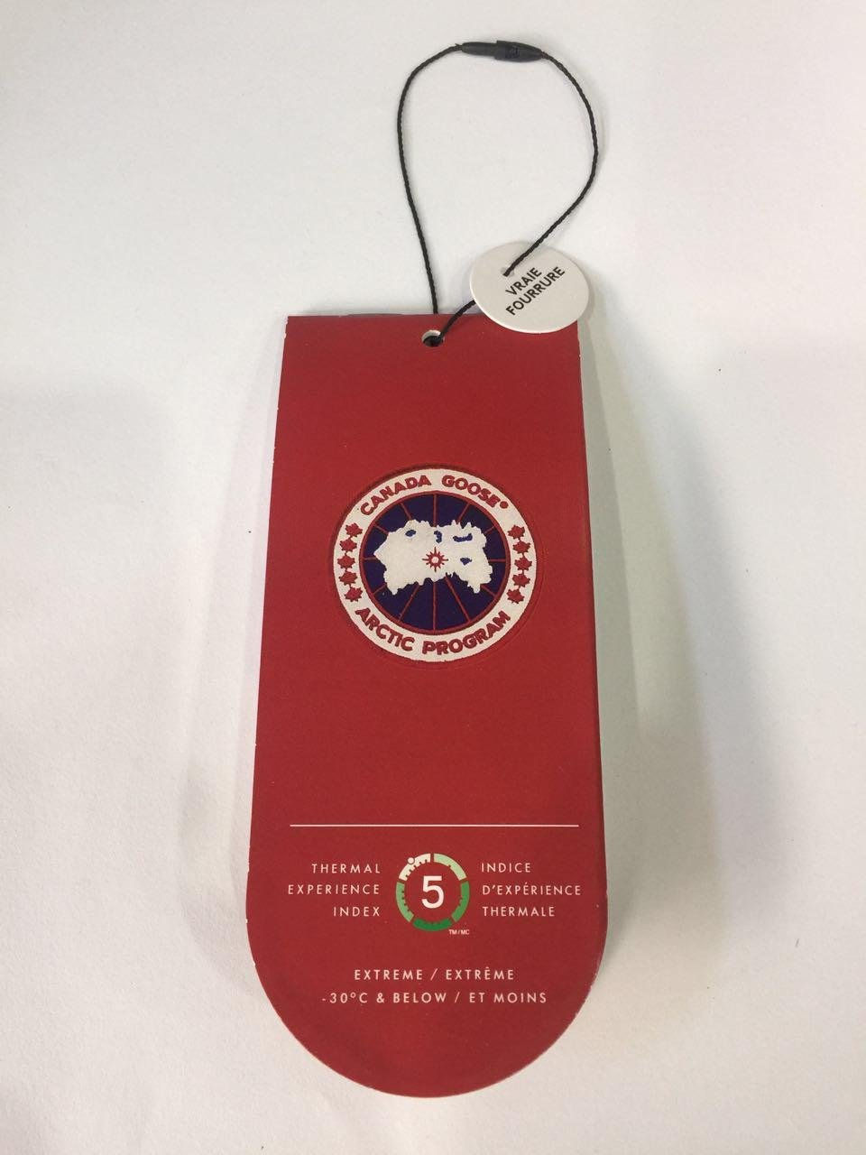 Миниатюра: Canada Goose