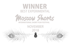 WINNER - BEST EXPERIMENTAL _ MOSCOW SHOR