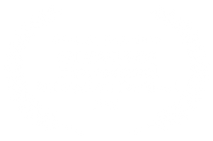 OFFICIAL SELECTION - ANIMASYROS International Animation Festival - 2022 (1).png