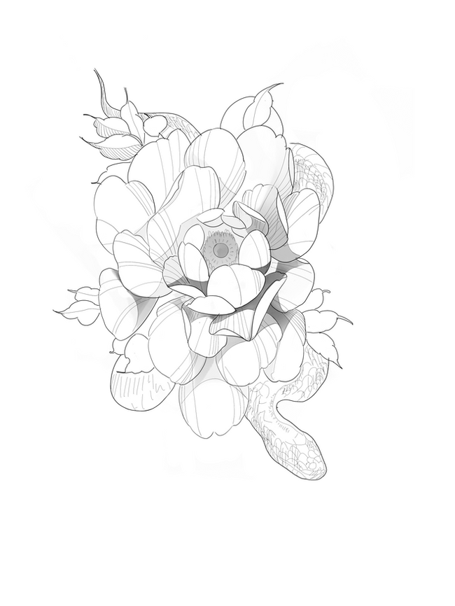 IMG_0296.PNG