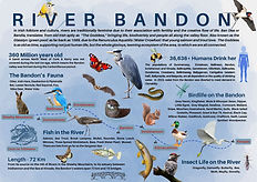 Bandon River infograph  (4) (1).jpg