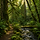 ChatGPT Image Jul 10, 2026, 01_11_31 PM.png