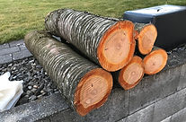 Kirschenholz zum trocknen