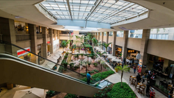 Captura de tela 2025-11-14 155318