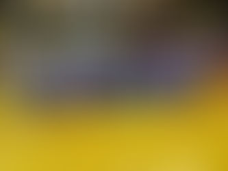 Požežanke šampionke Međuregionalne odbojkaške lige