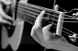 Musica ao vivo 2