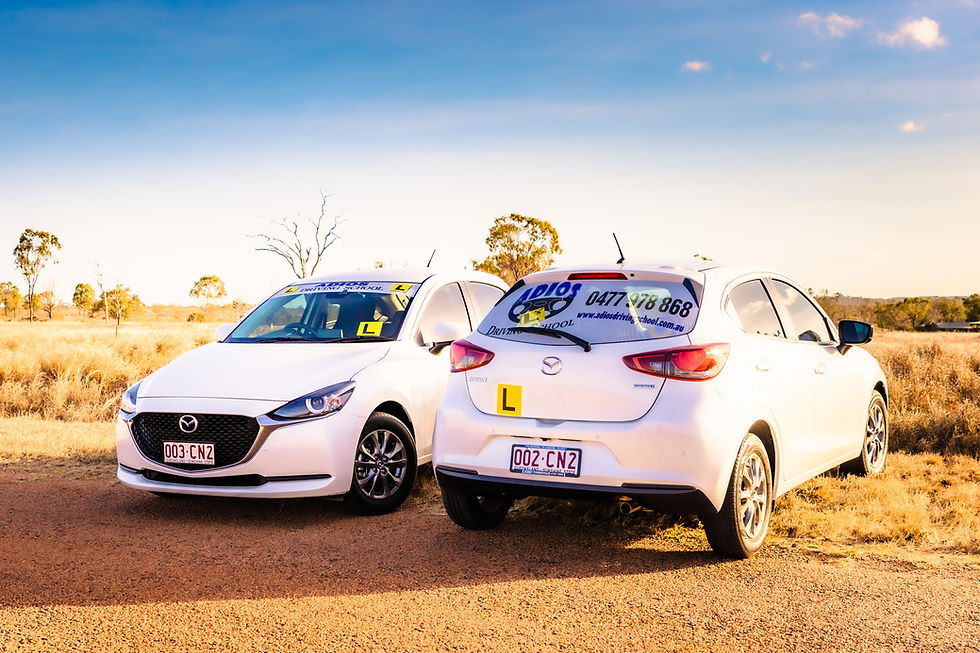 Adios_L's-Car_Branding_0921_FulSize-3.jpeg