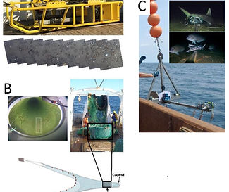 survey gear from summary slide