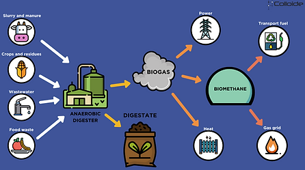 Anaerobic Digestion Colloide Engineering.png