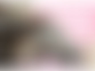 Holiday Yums & Tum-tums