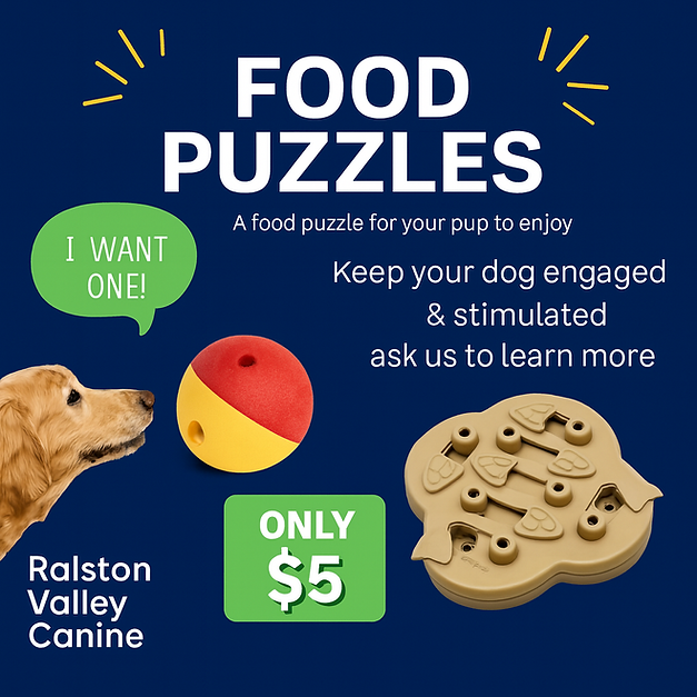 Dog Food Puzzles for Your Pup.png