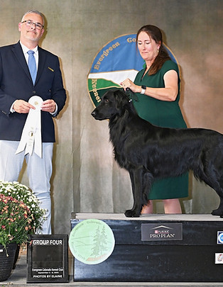 Evergreen Greeley Shows 2025-09-08_Group.JPG.jpeg