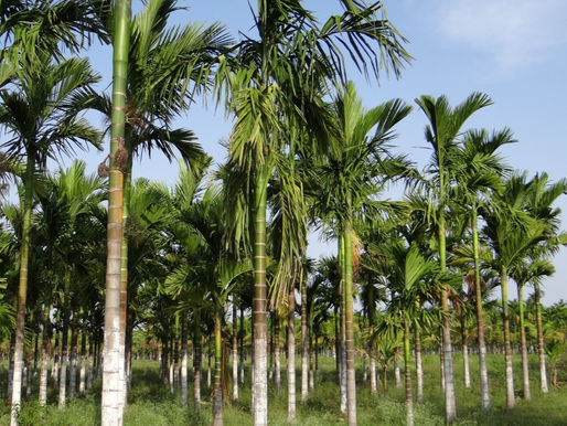 Grow Your Blog Community