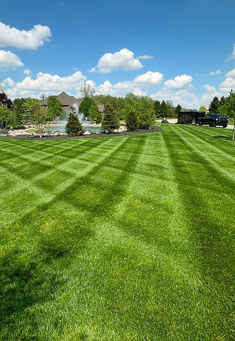 mowing .jpeg