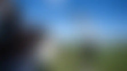 The Monday Mulligan: the week that was in golf … 