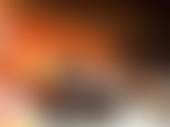 De pannen van het dak van de QEH – 21/11/2021