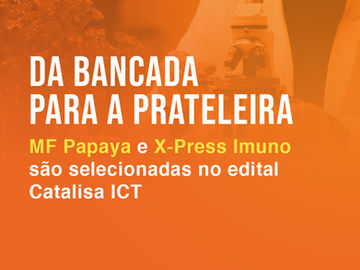 Da bancada para a prateleira