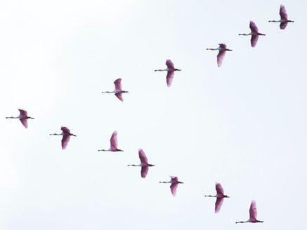 Migration on-premise vers le Cloud : nos conseils pour vous lancer