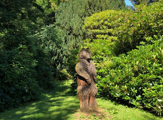 Bear.jpeg