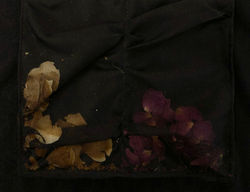 171520881319_.pic_hd