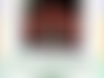 Brazilian Consular Agenda