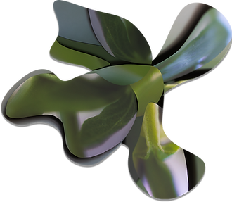 LeafGlider_4x5_Transparent.png