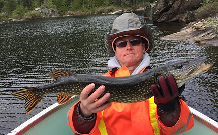 Canada trophy walleye and northern pike fishing, Sasseginaga Outpost Lodge, Lac Saseginaga Outpost Lodge, Canadian fishing outfitter lodge, Canadian fishing outpost lodge near Temiscaming, Quebec, Canada, Quebec Fishing, Lake Sasseginaga, Lac Saseginaga, near Ontario and Lake Ogascanan Lodge, Bush Country Camp, Lac Kikwissi Camp, Camp Coucoushee Outfitter, Canadian Walleye Fishing, Canadian Northern pike fishing, ZEC Kipawa, ZEC Restigo 