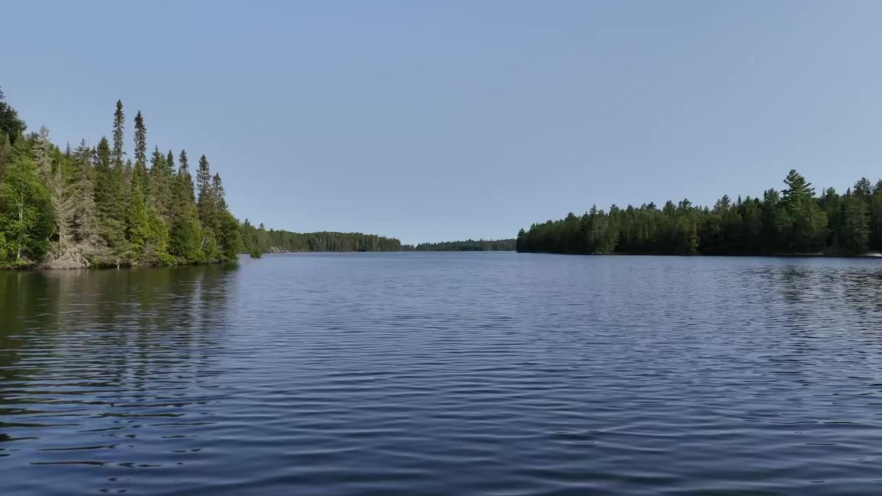 Forfaits de pêche au doré — Ssp Amour du Nord – Ssp Amour du Nord