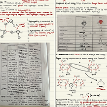 we're everywhere (2)_edited.jpg