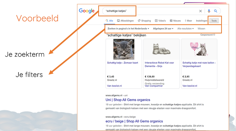 Schermafbeelding 2024-08-29 om 22.42.24.png