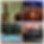 IMG_3633.PNG