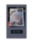 website spring.png