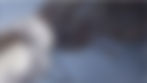 website.jpg