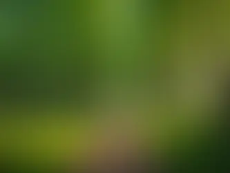 Unplugged Education: Creative Ways to Capture Kids' Attention Beyond Screens